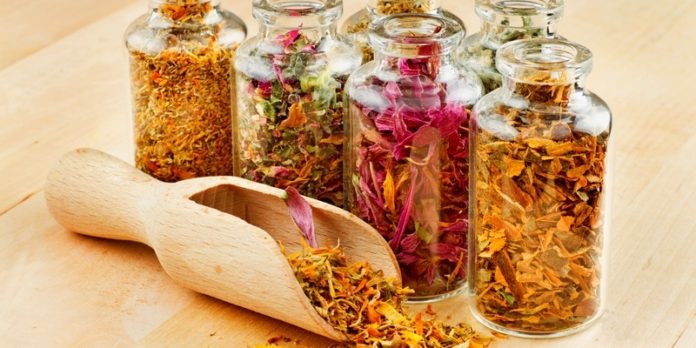 Ilustrasi Obat Herbal