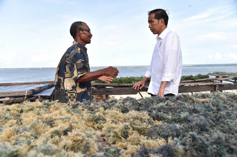 Apa Yang dilakukan Jokowi di Pulau Rote, Ini Foto-fotonya