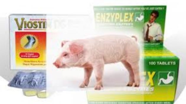 iostin DS dan Enzyplex yang dilarang beredar oleh Badan POM karena mengandung DNA babi