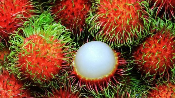 Manfaat dari buah rambutan.