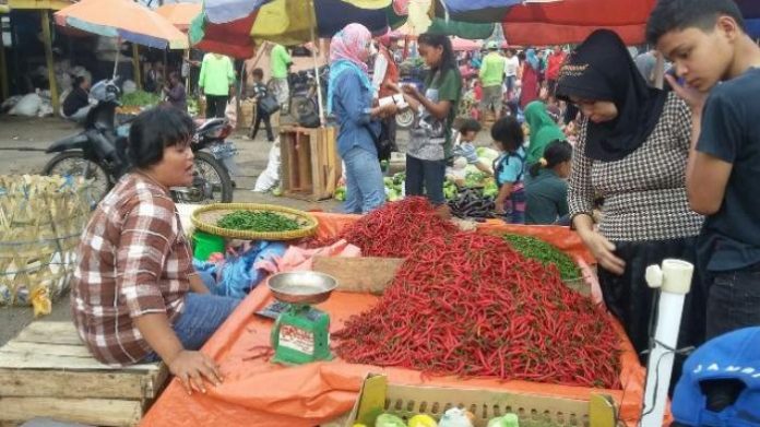 Pedagang cabai mengeluh harga cabai anjlok cukup tinggi.