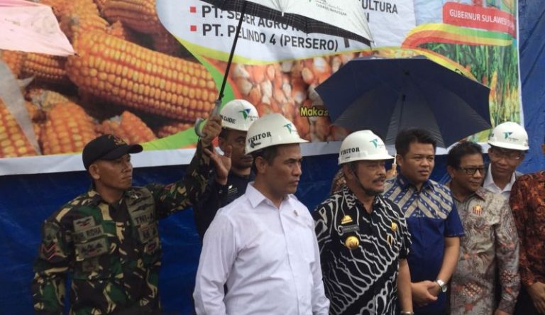 Butuh 5 Tahun Produk Daging Ayam Olahan RI Bisa Tembus Pasar Jepang