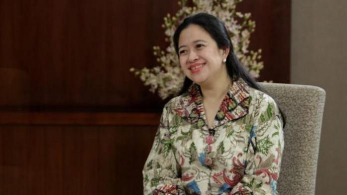Puan Maharani, PDIP