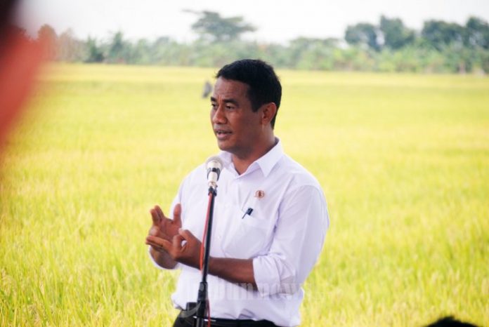 Menteri Pertanian Amran Sulaiman