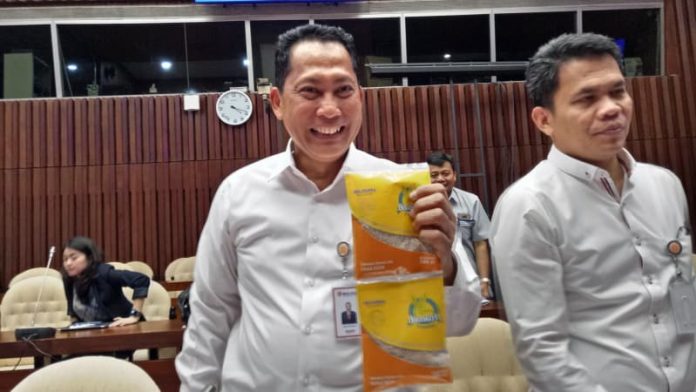 Direktur Utama Perum Bulog Budi Waseso