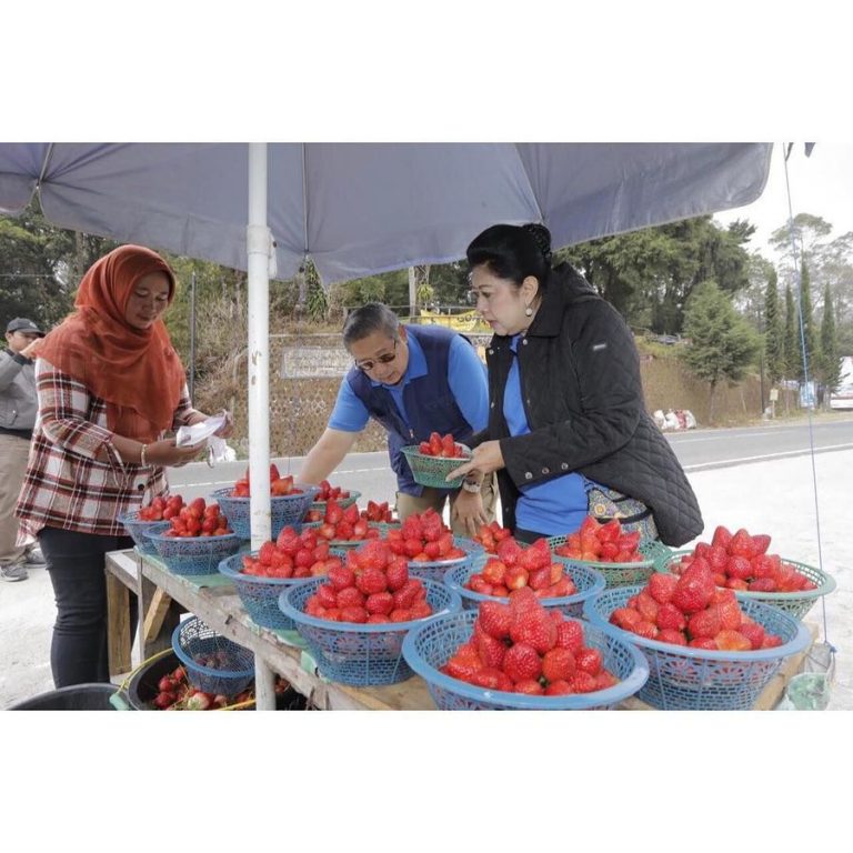 SBY: Megawati Berhenti Garap Suramadu, Saya Tak Sebut Mangkrak