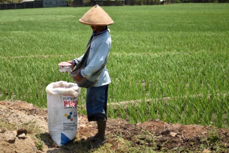 Generasi Muda Harus Bertani, Agar Generasi Muda Terus Mewariskan Adat dan Budaya