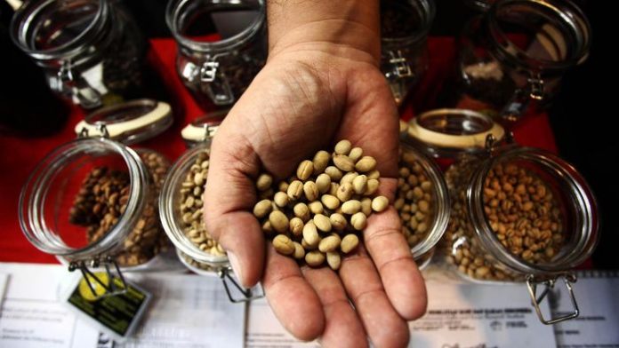 Indonesia Tingkatkan Ekspor Kopi.