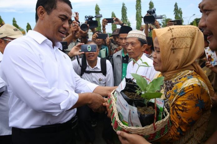 Kementan Alokasikan Anggaran ke Luwu Raya Senilai Rp 78,5 Miliar.