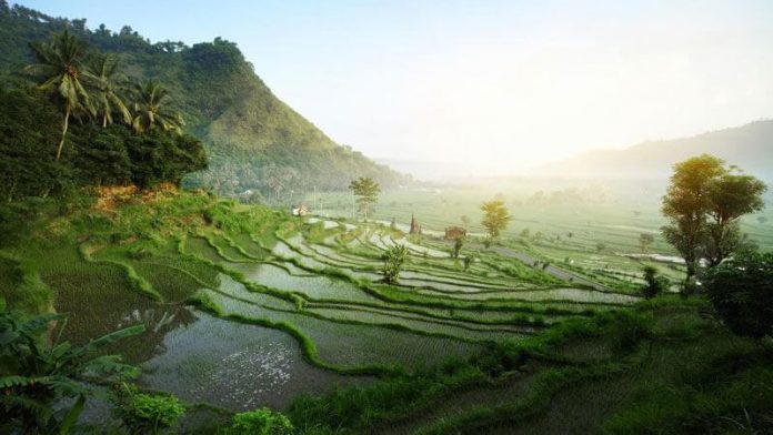 Keindahan Pulau Bali.