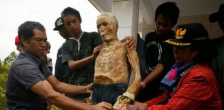 Ma'nene, ritual mengganti pakaian mayat di Tana Toraja.