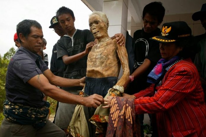Ma'nene, ritual mengganti pakaian mayat di Tana Toraja.