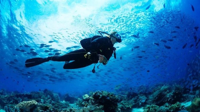 Indonesia memperkenalkan 86 spot menyelam di Asia Dive Expo Singapura 2019.
