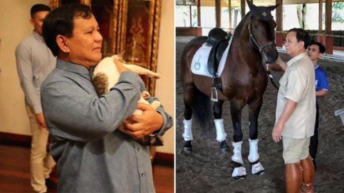 Aspri Akui Prabowo Bisa Bicara dengan Binatang, Ungkap Kisah Bosnya Taklukan Semut hingga Nyamuk.