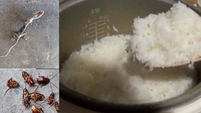 Penyebab Nasi Jadi Bau Dan Basi.