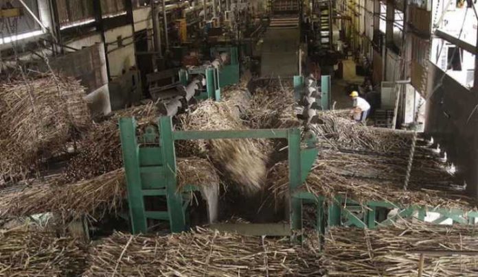 Pabrik Gula PTPN X Lakukan Penggilingan Sebelum Lebaran.