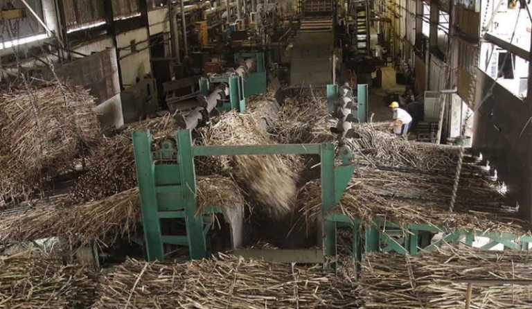 Pabrik Gula PTPN X Lakukan Penggilingan Sebelum Lebaran.