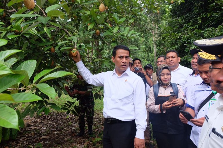 Siap Ekspor Hasil Perkebunan