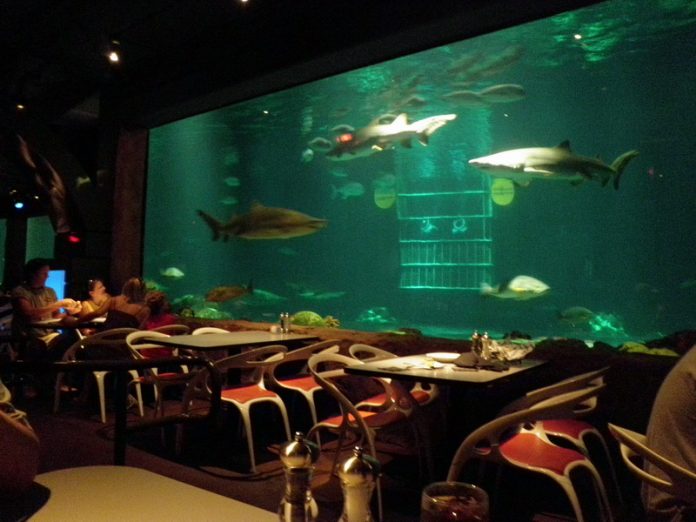 Sharks Underwater Grill, Orlando.