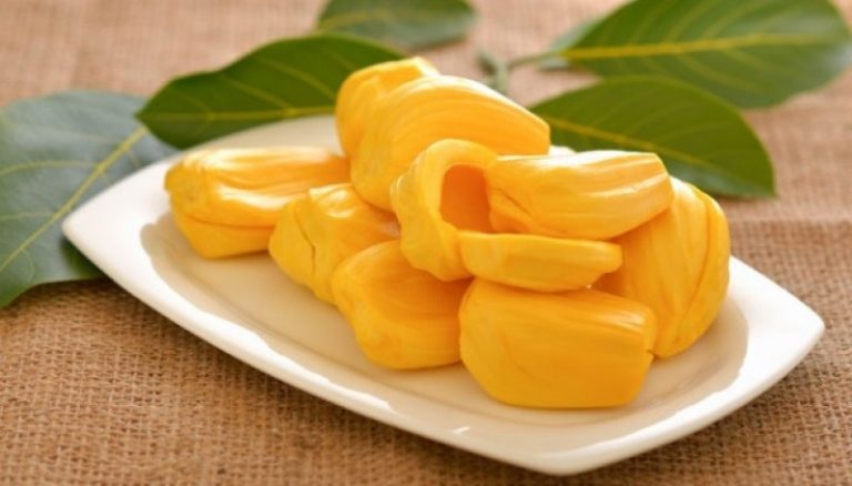 Manfaat Nangka Untuk Kesehatan.