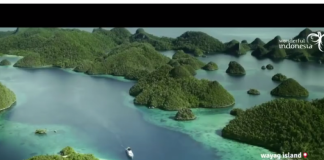 Cuplikan video Wonderful Indonesia The Journey to a Wonderful World.