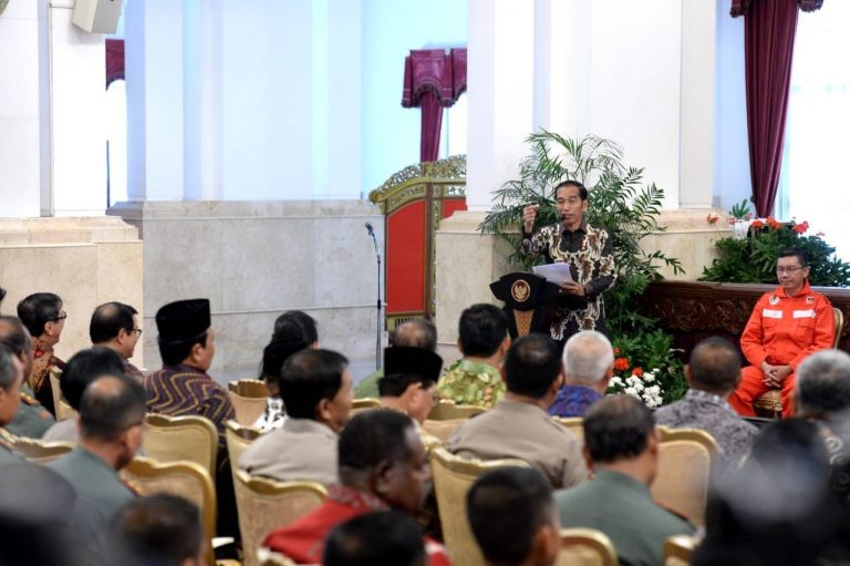 Empat Arahan Presiden Jokowi Mengenai Pengendalian Karhutla