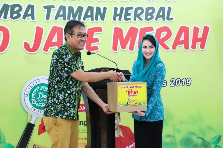 Arumi Bachsin Ajak Masyarakat dan Anggota TP PKK Budidaya Jahe Merah