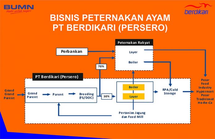 PT Berdikari Mencoba Bisnis Pakan Ternak.