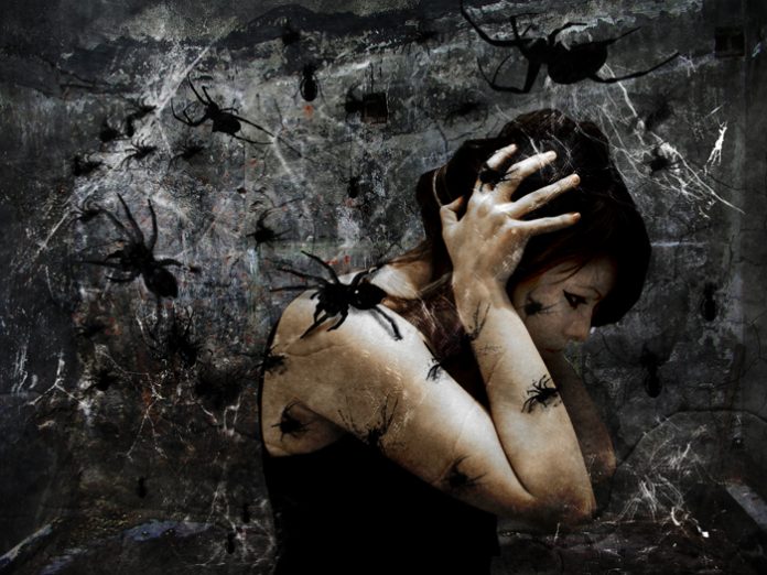 Mengenal Arachnophobia, Fobia Atau Ketakutan Berlebihan Pada Hewan Laba-laba.