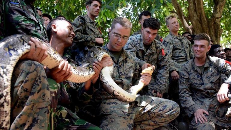 Marinir TNI AL Ajari Cara Bertahan Hidup Kepada Marinir AS.