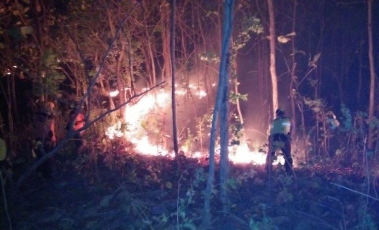 gunung baturkaru terbakar