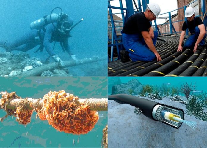 Perbaikan Kabel Laut Putus Biayanya Bisa Lebih dari Rp50 Miliar.