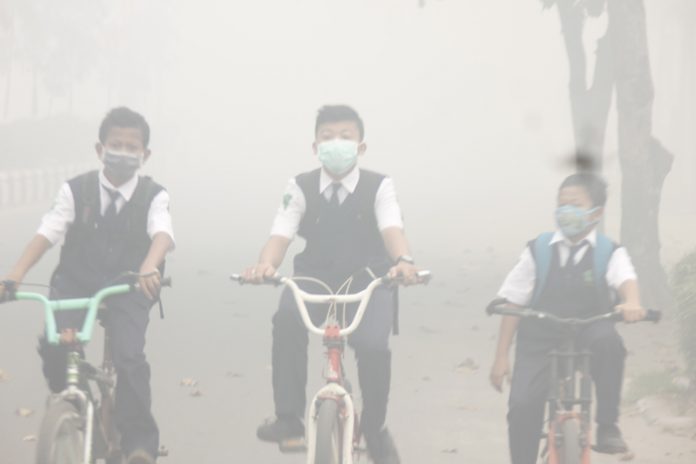 kabut-asap-masih-pekat-pemkab-kotim-siapkan-tempat-evakuasi