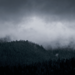 10-ccbdec73579834bc8102ada852bb43aa