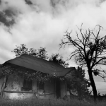 2-d8419a33f47420e759c5b39508d855a9