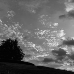 3-1534dd71f3b91443c65e19a0546ff4a5