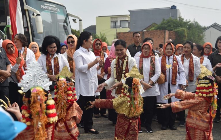 Ibu Negara Sosialisasikan Gerakan Cuci Tangan di PAUD dan IVA Tes di Puskesmas