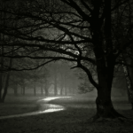 7-e11787b6e5442f9f61846403d3eb9ee3