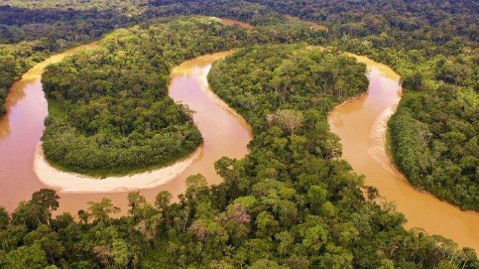 Ilustrasi Sungai Amazon.