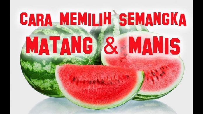 Tips Memilih Semangka yang Matang dan Manis.