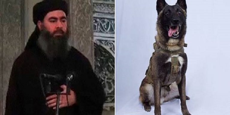 anjing yang dianggap pahlawan itu tetap menjadi rahasia nasional Amerika.