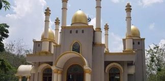 Viral, Masjid di Tengah Hutan Megah Bak Istana.