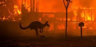 Kebakaran di Australia Telan Kerugian Mencapai Rp7 Triliun.