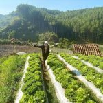 laudya_cynthia_bella-20200911-003-non_fotografer_kly