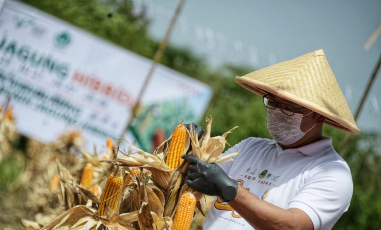 Ridwan Kamil Cari 5.000 Anak Muda Jabar untuk Jadi Petani