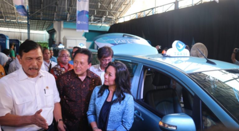 Tesla: Sodorkan Proposal ke Luhut, Akan Bertemu Antam dan Inalum