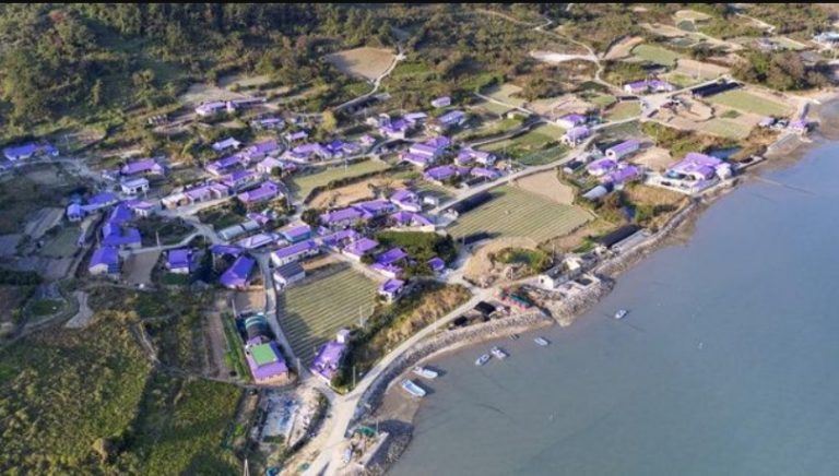 Desa Berwarna Ungu di ‘Pulau Borahae’ Korea Selatan