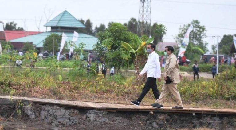 Pro Kontra Program Food Estate Pemerintah Bagi Petani di Kalteng