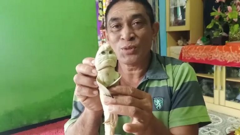 VIRAL, Hiu Berwajah Mirip Manusia di NTT Diduga karena Efek Limbah