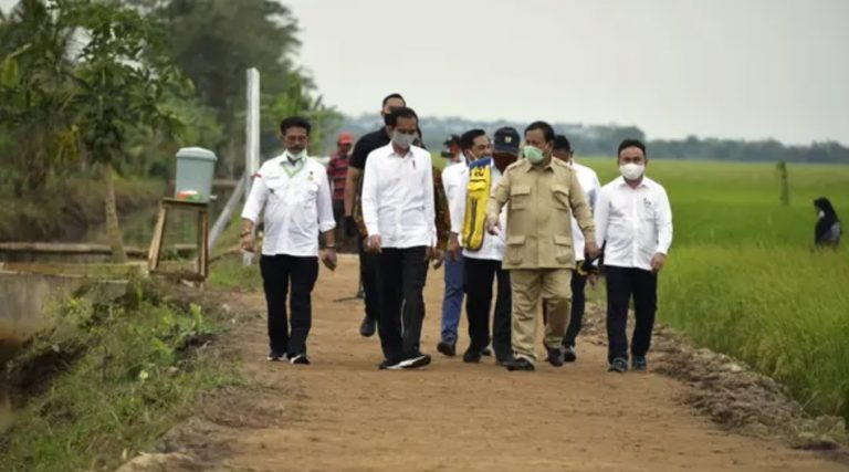 Jokowi: Food Estate di NTT Akan Diperluas Jadi 10.000 Hektare untuk Padi dan Jagung